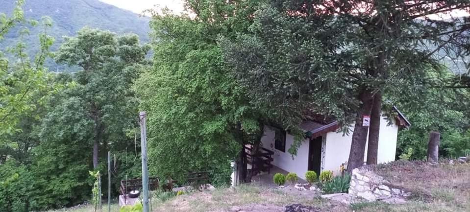 Vila Eva Meduvrsje Экстерьер фото