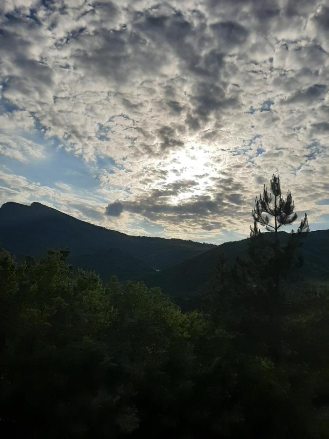 Vila Eva Meduvrsje Экстерьер фото