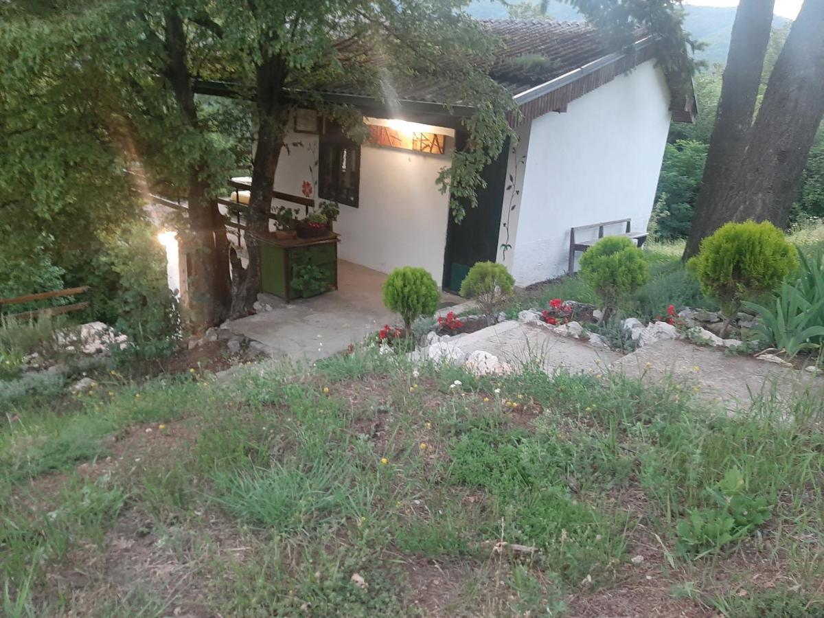 Vila Eva Meduvrsje Экстерьер фото